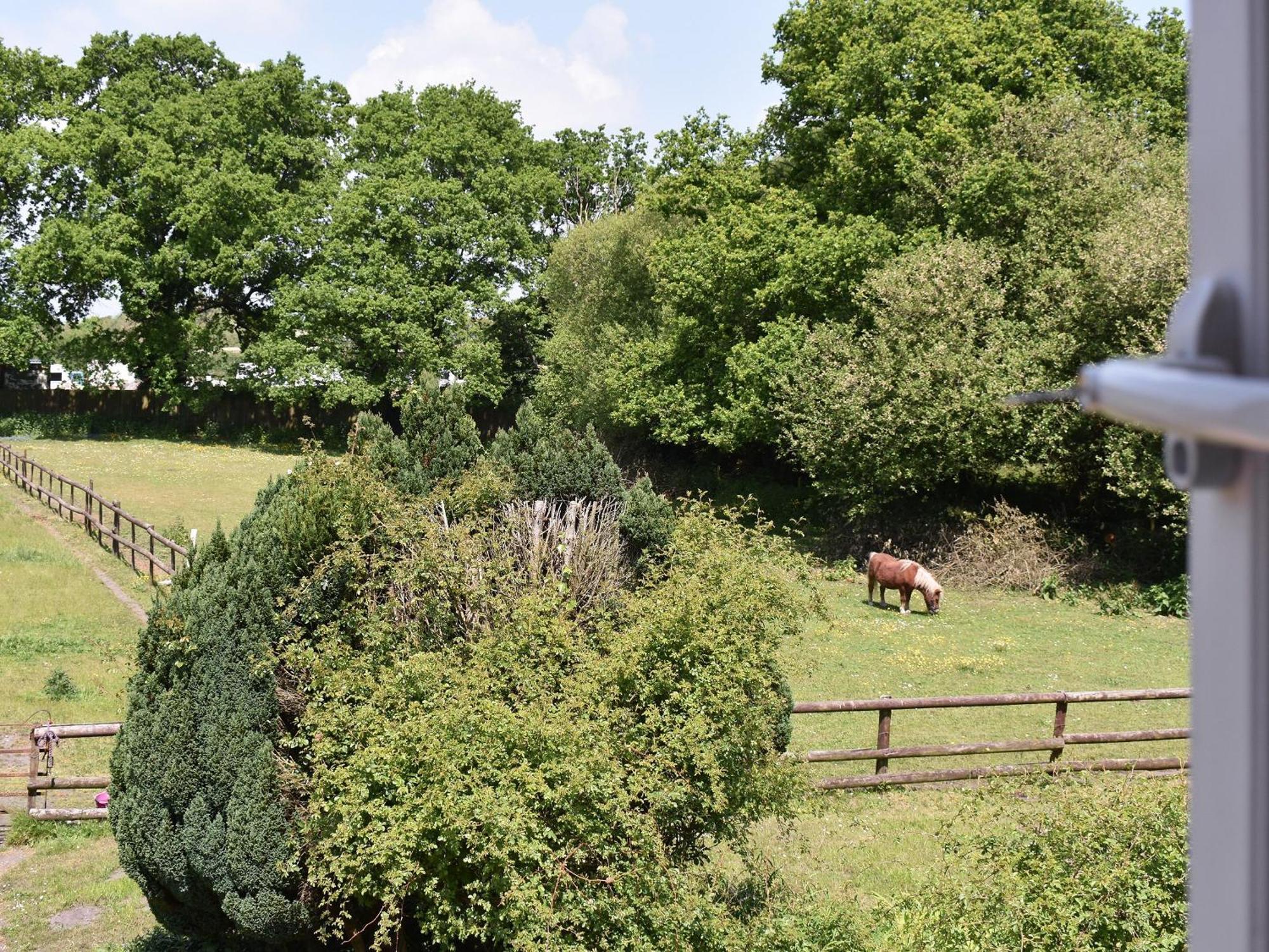Oakdene Lodge Saint Leonards Exteriör bild